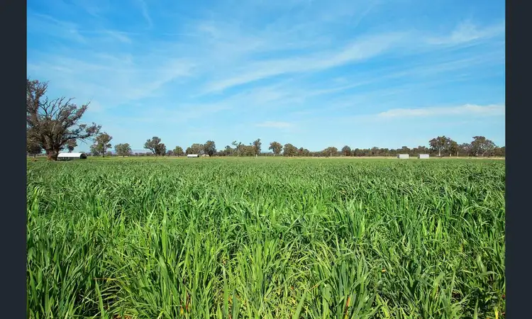 Second view of Homely rural property listing, 1003 Docker-Greta West Rd, Greta West VIC 3675