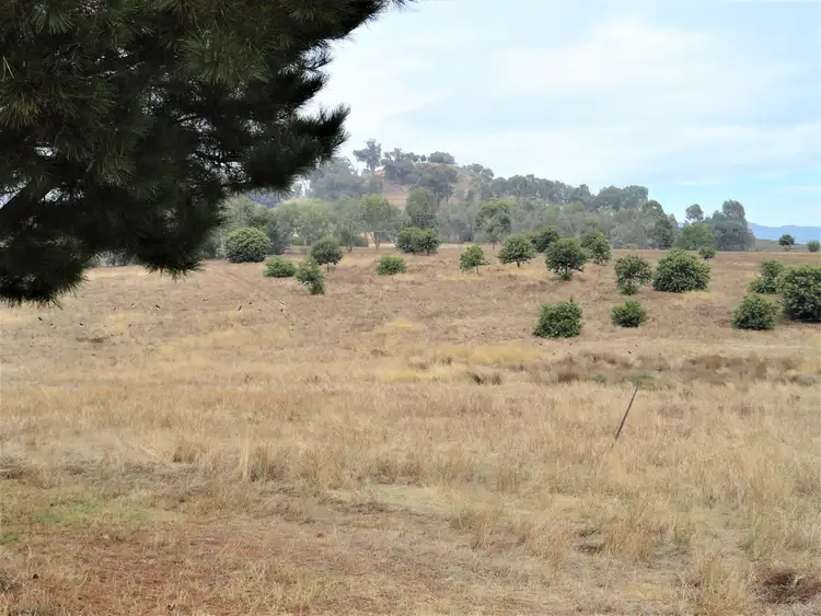 Fourth view of Homely rural property listing, Lot 3 Blacks Flat Road, Mudgegonga VIC 3737