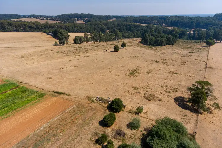 Seventh view of Homely rural property listing, 607 Extons Road, Kinglake Central VIC 3757