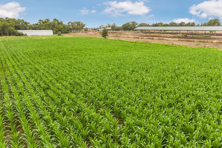 Second view of Homely rural property listing, Lot 84 James Road, Finley NSW 2713