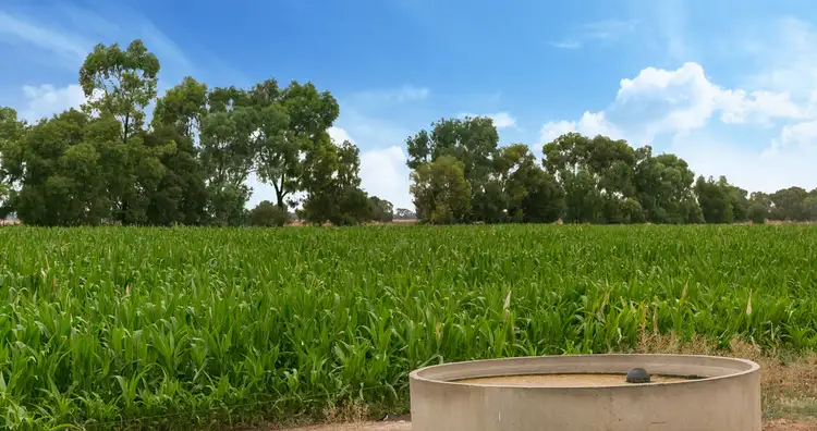 Fifth view of Homely rural property listing, Lot 84 James Road, Finley NSW 2713