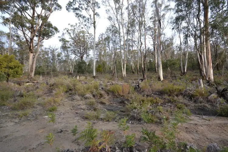 Fourth view of Homely land listing, 572 Huntingdon Tier Road, Bagdad TAS 7030