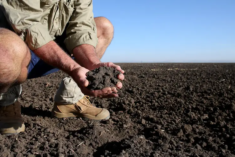 Sixth view of Homely rural property listing, "Gaythorpe" 750 Goran Lake Road, Spring Ridge NSW 2343