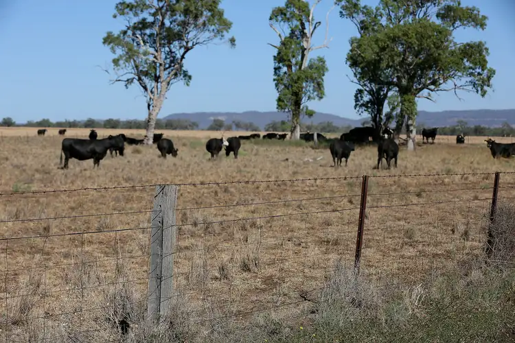 Third view of Homely rural property listing, "Goori" 3468 Coonabarabran Road, Spring Ridge NSW 2343