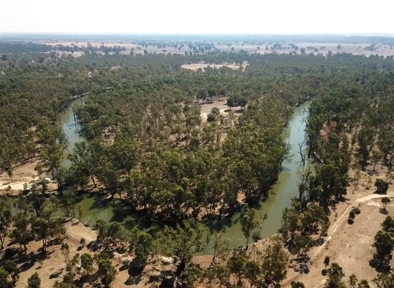 Main view of Homely rural property listing, 42 Calimo Road, Deniliquin NSW 2710