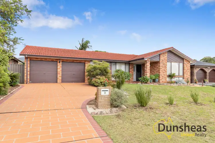 3 Brolga Place, Ingleburn NSW 2565
