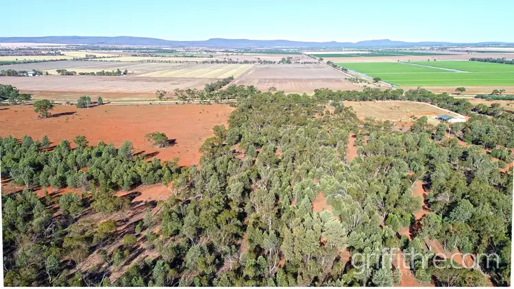 Third view of Homely land listing, Lot 3 2642 Rankins Springs Road, Beelbangera NSW 2680