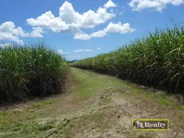 Fifth view of Homely rural property listing, Address available on request