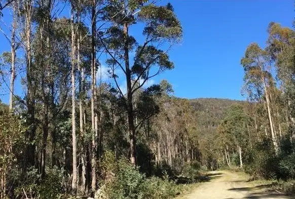 Main view of Homely land listing, Lot 1 English Town Road, Deddington TAS 7212