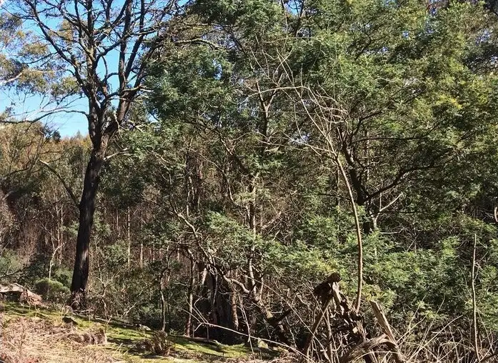Third view of Homely land listing, Lot 1 English Town Road, Deddington TAS 7212