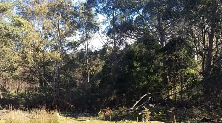 Fourth view of Homely land listing, Lot 1 English Town Road, Deddington TAS 7212