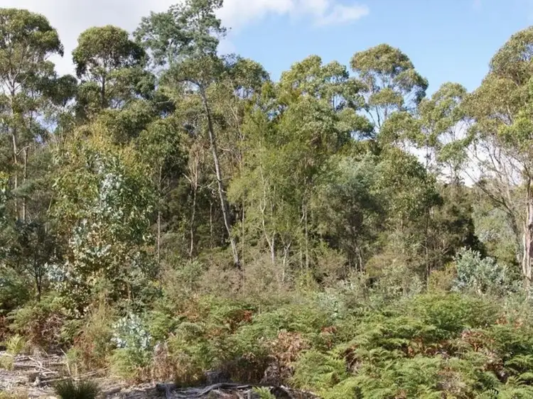 Fifth view of Homely land listing, Lot 1 English Town Road, Deddington TAS 7212