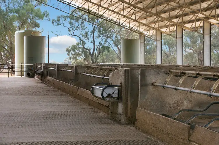 Sixth view of Homely rural property listing, 154 Hendersons Road, Strathmerton VIC 3641