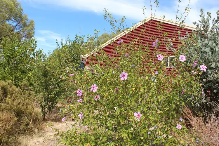 Third view of Homely house listing, 12 Milhinch St, Muluckine WA 6401