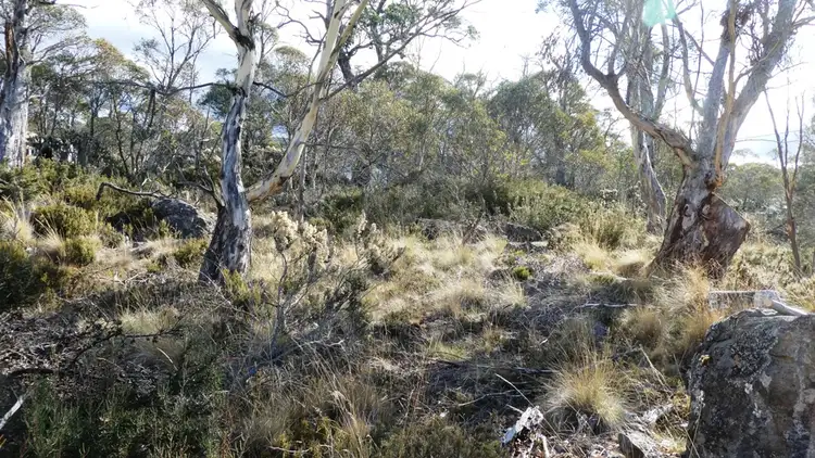 Third view of Homely land listing, 16 Anglers Crescent, Miena TAS 7030