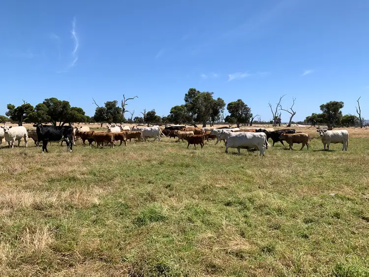 Main view of Homely rural property listing, 1265 HOPELAND ROAD, Keysbrook WA 6126