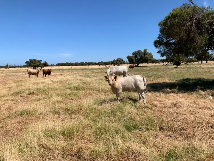 Second view of Homely rural property listing, 1265 HOPELAND ROAD, Keysbrook WA 6126