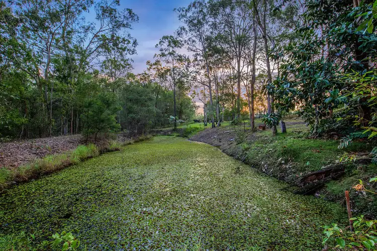 Seventh view of Homely house listing, 675 GILSTON ROAD, Gilston QLD 4211