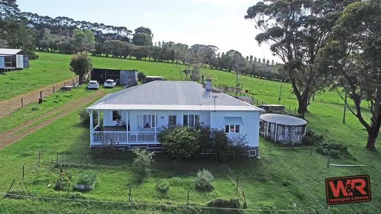 Third view of Homely rural property listing, 165 Kronkup Road North, Kronkup WA 6330
