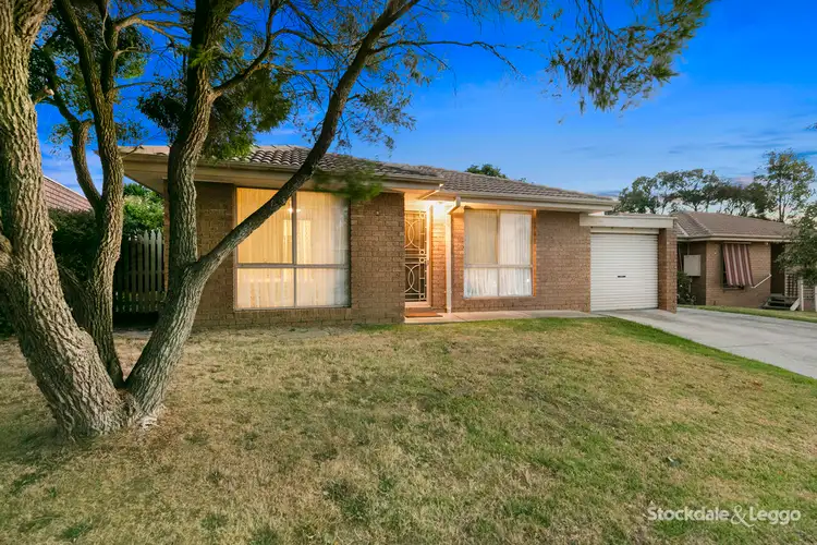 3/95 Warrandyte Road, Langwarrin VIC 3910