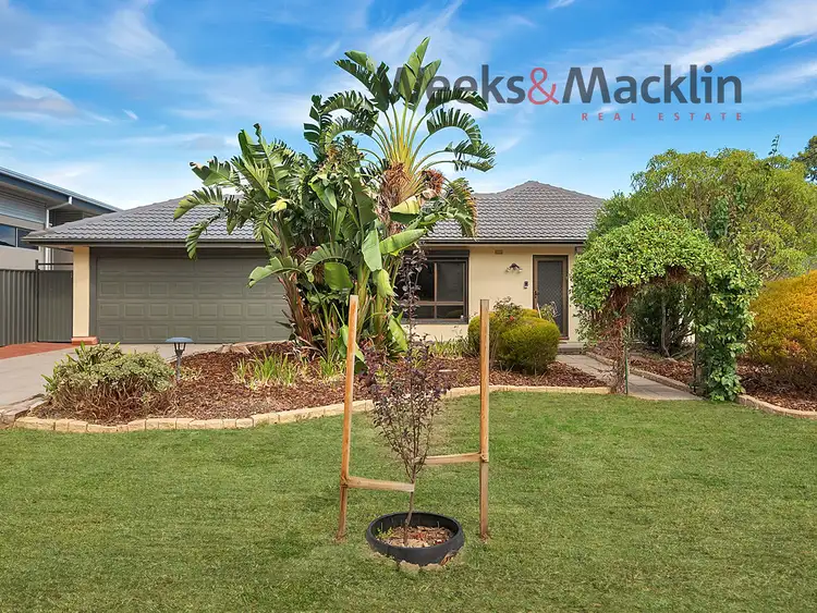 Second view of Homely house listing, 25 Apalie Drive, Modbury SA 5092