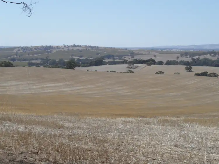 Main view of Homely land listing, Lot 4 Mugge Road, Sandy Creek SA 5350