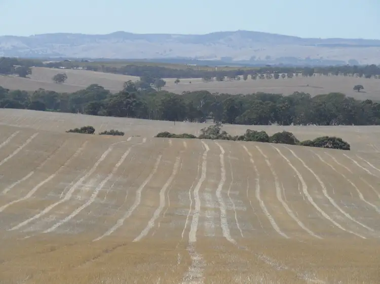 Fourth view of Homely land listing, Lot 4 Mugge Road, Sandy Creek SA 5350