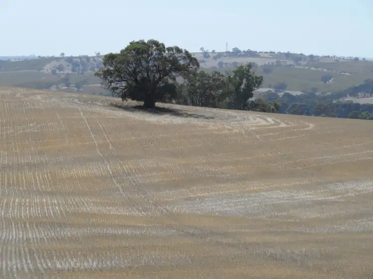 Fifth view of Homely land listing, Lot 4 Mugge Road, Sandy Creek SA 5350