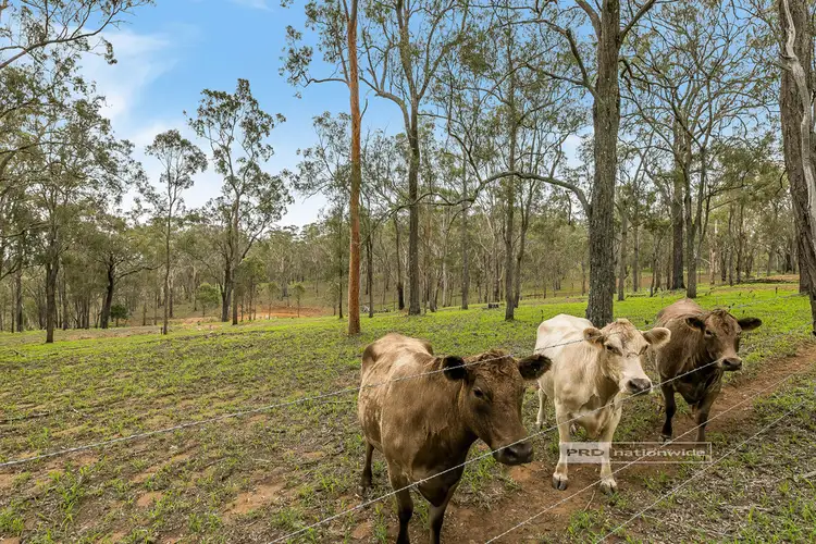 Main view of Homely house listing, 87 Cooby Dam Road, Meringandan QLD 4352