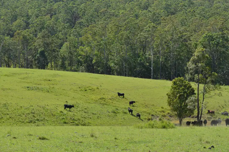 Second view of Homely rural property listing, Lots 34, 1, 93, 120 & 128 Nowendoc Road, Knorrit Flat NSW 2424