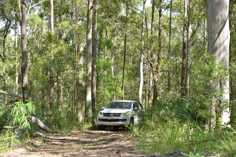 Sixth view of Homely rural property listing, Lot 156 Nowendoc Road, Knorrit Flat NSW 2424