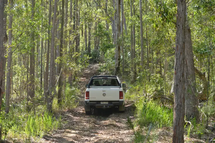 Seventh view of Homely rural property listing, Lot 156 Nowendoc Road, Knorrit Flat NSW 2424