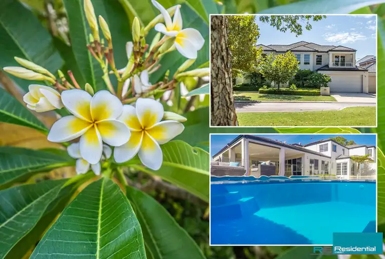 Third view of Homely house listing, 3 Pebble Bush Drive, Canning Vale WA 6155