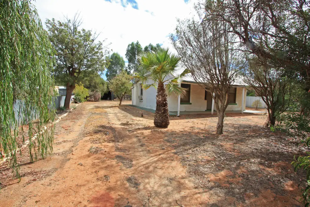 Main view of Homely house listing, 4 Eringa Avenue, Loxton SA 5333