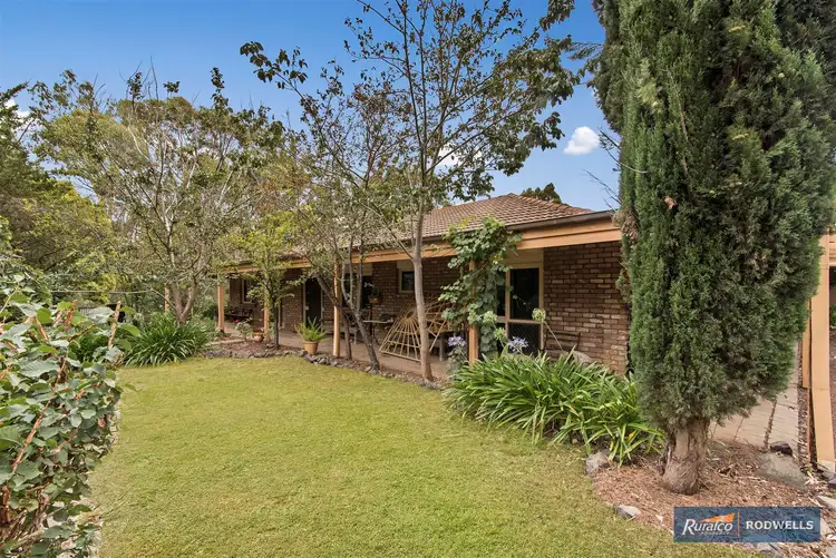 Second view of Homely rural property listing, 245 Davis Road, Broadford VIC 3658