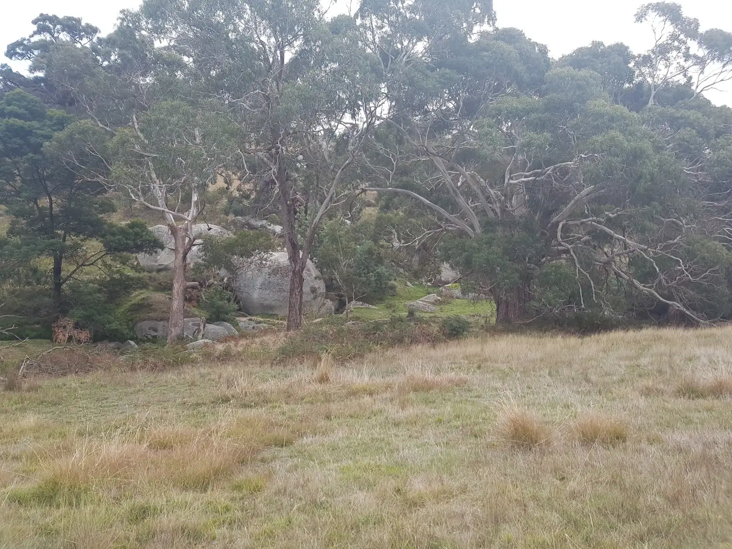 Main view of Homely rural property listing, Lot 1 Emu Flat-Baynton Road, Tooborac VIC 3522