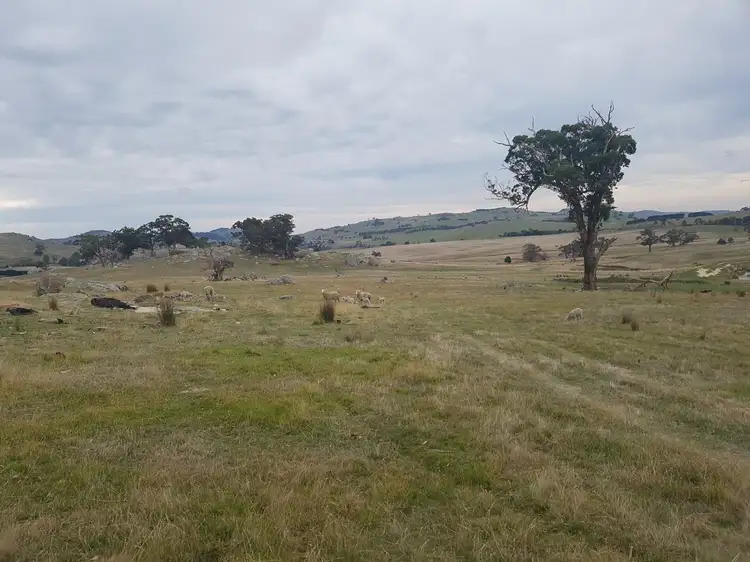 Second view of Homely rural property listing, Lot 1 Emu Flat-Baynton Road, Tooborac VIC 3522