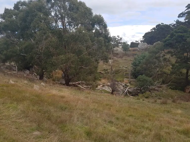 Fourth view of Homely rural property listing, Lot 1 Emu Flat-Baynton Road, Tooborac VIC 3522