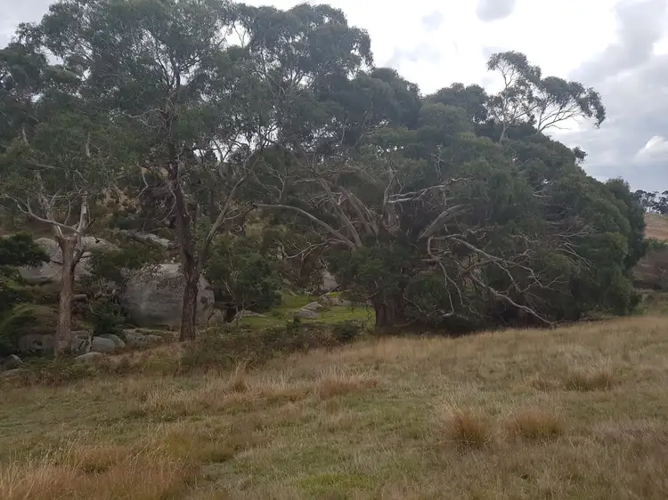 Sixth view of Homely rural property listing, Lot 1 Emu Flat-Baynton Road, Tooborac VIC 3522