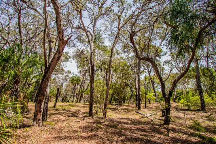 Lot 31 Bloodwood ave, Agnes Water QLD 4677