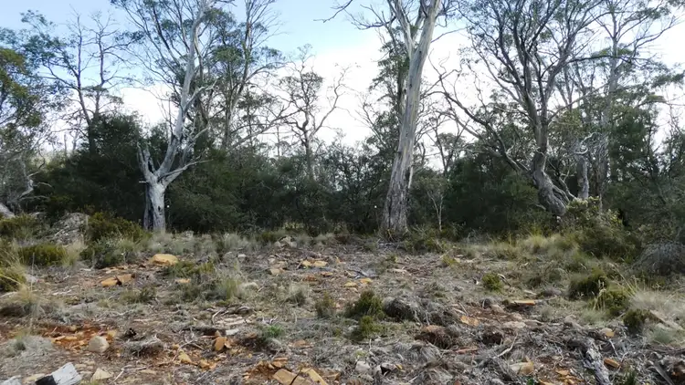 Fifth view of Homely land listing, 19 Jones Road, Miena TAS 7030