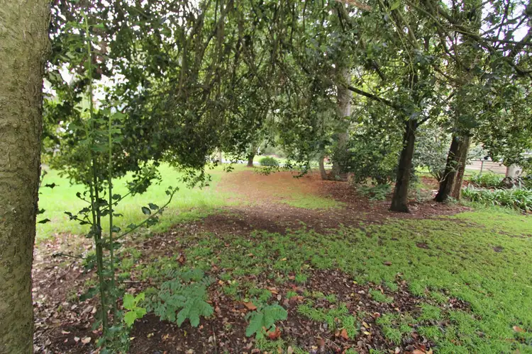 Fifth view of Homely rural property listing, 4228 Hyland Highway, Won Wron VIC 3971