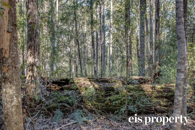 Main view of Homely land listing, Lot 1 Morrisons Road, Franklin TAS 7113