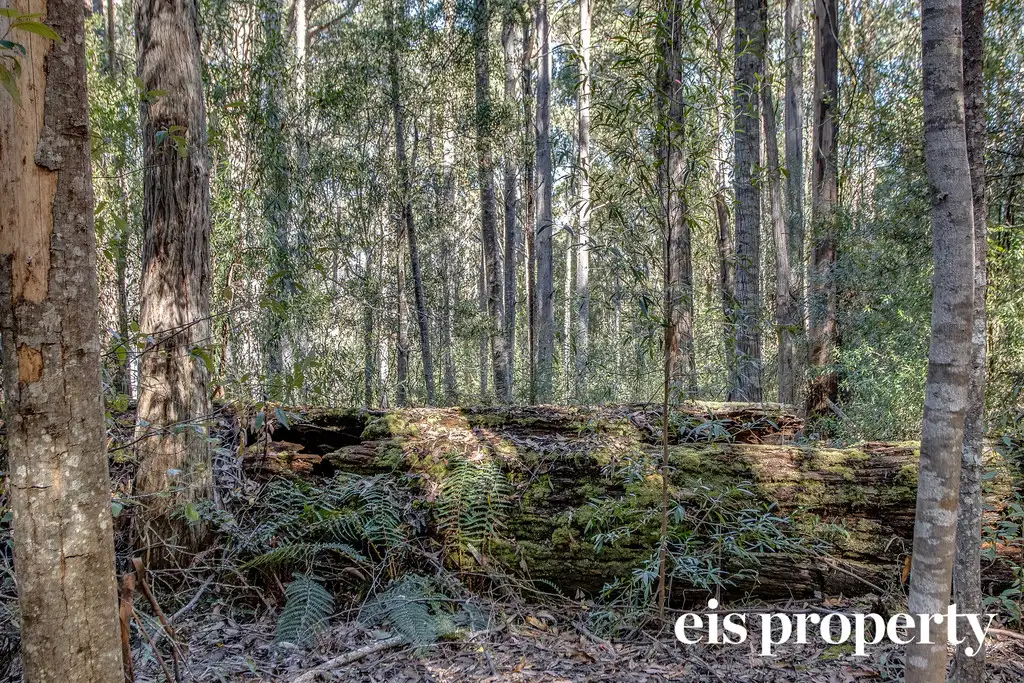 Main view of Homely land listing, Lot 1 Morrisons Road, Franklin TAS 7113