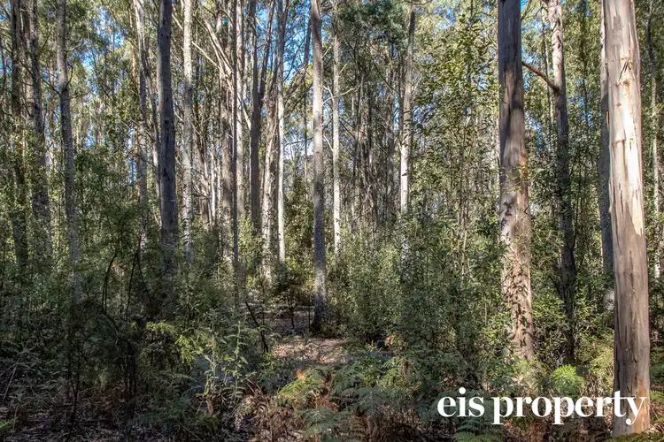 Second view of Homely land listing, Lot 1 Morrisons Road, Franklin TAS 7113