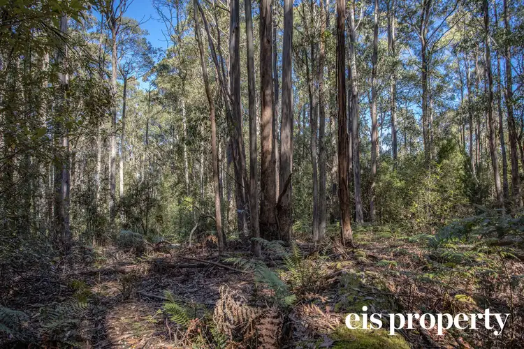 Third view of Homely land listing, Lot 1 Morrisons Road, Franklin TAS 7113