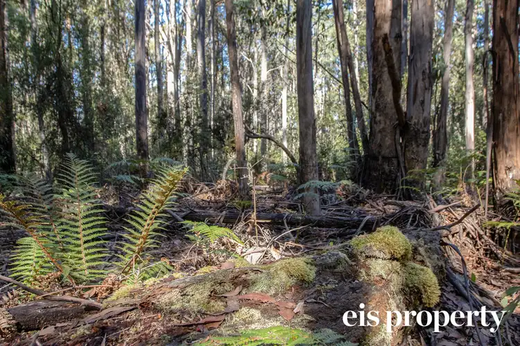 Sixth view of Homely land listing, Lot 1 Morrisons Road, Franklin TAS 7113