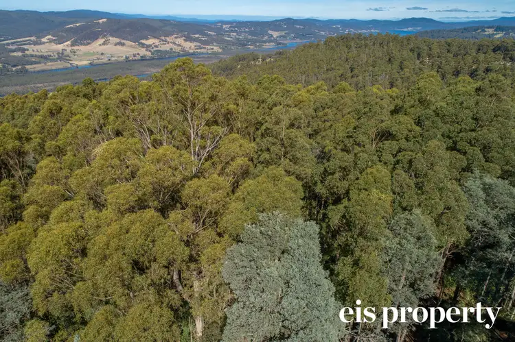 Seventh view of Homely land listing, Lot 1 Morrisons Road, Franklin TAS 7113