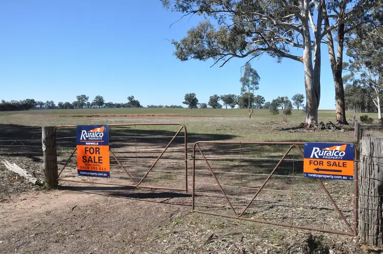 1247 Nagambie - Rushworth Road, Bailieston VIC 3608
