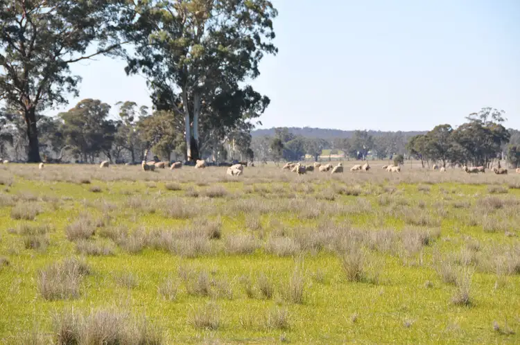 Fifth view of Homely rural property listing, 1247 Nagambie - Rushworth Road, Bailieston VIC 3608